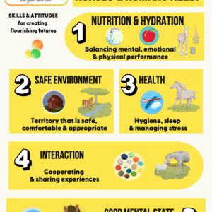 FREE DOWNLOAD Humans & Horses - Basic Welfare Needs PDF